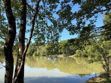 Maison a vendre La Pérouille 36350 Indre 297 m2 7 pièces 871500 euros