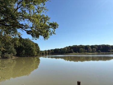 Maison a vendre La Pérouille 36350 Indre 297 m2 7 pièces 871500 euros