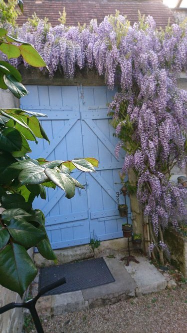 Immeuble a vendre Buzançais 36500 Indre 150 m2  181400 euros