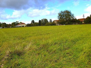 Terrain a batir a vendre Glannes 51300 Marne 3575 m2  96550 euros