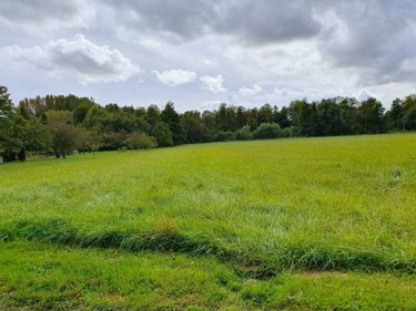Terrain a batir a vendre Glannes 51300 Marne 3575 m2  96550 euros