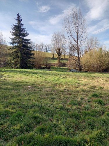 Terrain a batir a vendre Giou-de-Mamou 15130 Cantal 1609 m2  67000 euros