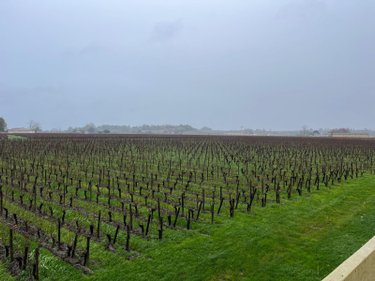 Maison a vendre Saint-Émilion 33330 Gironde 235 m2 7 pièces 2912000 euros