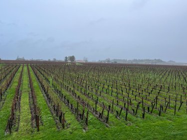 Maison a vendre Saint-Émilion 33330 Gironde 235 m2 7 pièces 2912000 euros
