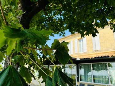 Maison a vendre Saint-Émilion 33330 Gironde 235 m2 7 pièces 2912000 euros