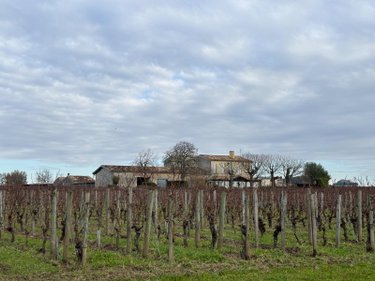 Maison a vendre Saint-Émilion 33330 Gironde 235 m2 7 pièces 2912000 euros