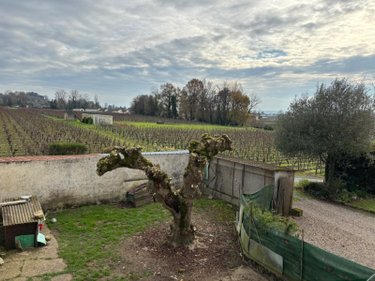 Maison a vendre Saint-Émilion 33330 Gironde 235 m2 7 pièces 2912000 euros