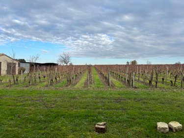 Maison a vendre Saint-Émilion 33330 Gironde 235 m2 7 pièces 2912000 euros