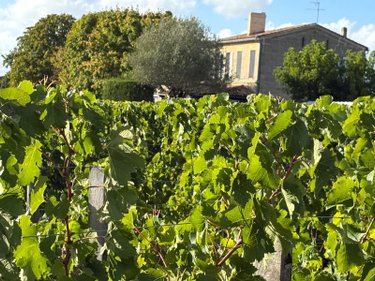 Maison a vendre Saint-Émilion 33330 Gironde 235 m2 7 pièces 1456000 euros