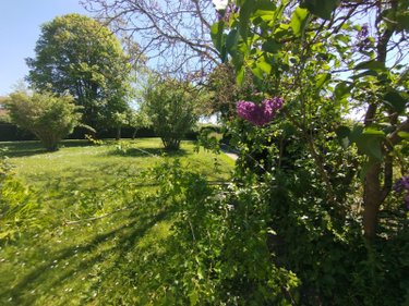 Maison a vendre Rouillon 72700 Sarthe 201 m2 10 pièces 262500 euros