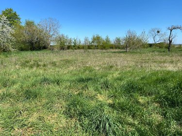 Maison a vendre Saint-Denis-sur-Loire 41000 Loir-et-Cher 200 m2 8 pièces 213000 euros