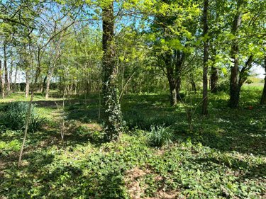 Maison a vendre Saint-Denis-sur-Loire 41000 Loir-et-Cher 200 m2 8 pièces 213000 euros