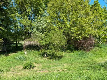 Maison a vendre Saint-Denis-sur-Loire 41000 Loir-et-Cher 200 m2 8 pièces 213000 euros