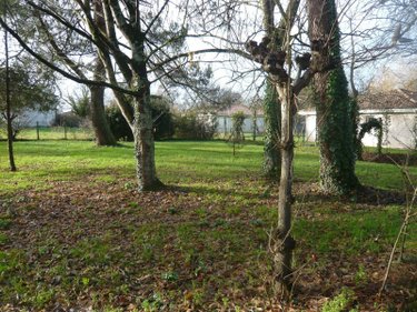 Maison a vendre Braud-et-Saint-Louis 33820 Gironde 80 m2 4 pièces 143100 euros
