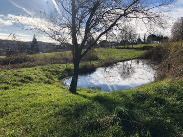 Terrain a batir a vendre Aubazines 19190 Corrèze 2550 m2  21800 euros