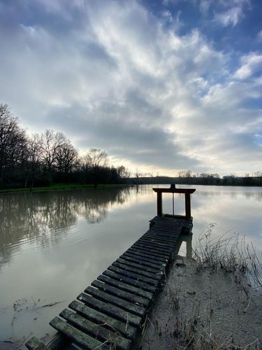 Terrains de loisirs bois etangs a vendre Heugnes 36180 Indre 69592 m2  96600 euros