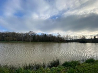 Terrains de loisirs bois etangs a vendre Heugnes 36180 Indre 69592 m2  96600 euros