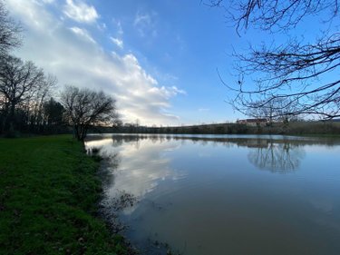 Terrains de loisirs bois etangs a vendre Heugnes 36180 Indre 69592 m2  96600 euros