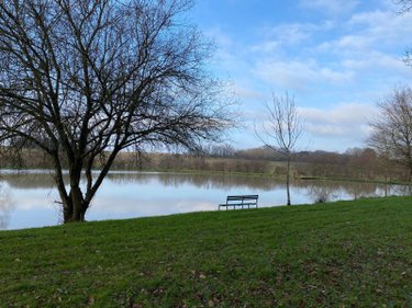 Terrains de loisirs bois etangs a vendre Heugnes 36180 Indre 69592 m2  96600 euros