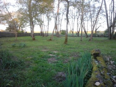 propriete a vendre Saint-Just-Luzac 17320 Charente-Maritime 100 m2 4 pièces 280800 euros