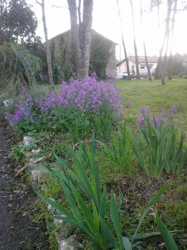 propriete a vendre Saint-Just-Luzac 17320 Charente-Maritime 100 m2 4 pièces 280800 euros