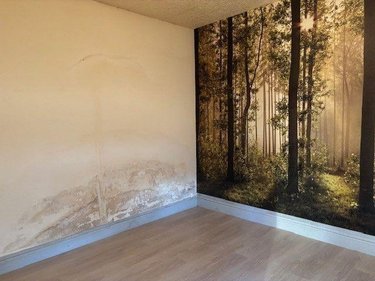 Maison a vendre Saint-Amand-Montrond 18200 Cher 55 m2 3 pièces 61480 euros