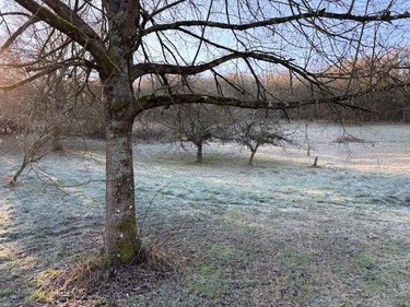 Bien agricole a vendre Saint-Amand-Montrond 18200 Cher  11000 euros