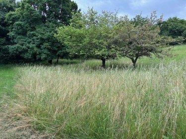 Bien agricole a vendre Saint-Amand-Montrond 18200 Cher  11000 euros