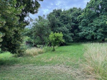 Bien agricole a vendre Saint-Amand-Montrond 18200 Cher  11000 euros