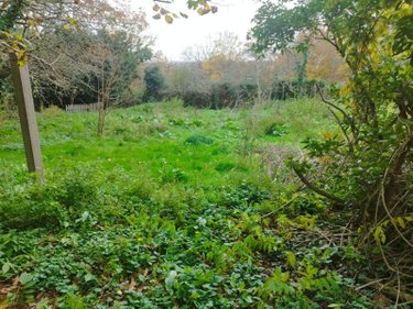 Maison a vendre Montipouret 36230 Indre 71 m2  58300 euros