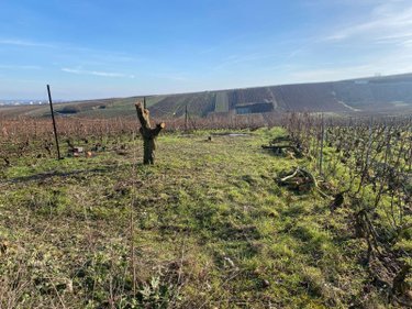 Maison a vendre Oger 51190 Marne 136 m2  178500 euros