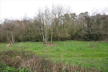 Maison a vendre Saint-Michel-en-Grève 22300 Côtes-d'Armor 216 m2 11 pièces 275600 euros