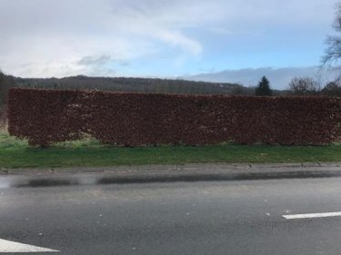 Terrain a batir a vendre Boubers-sur-Canche 62270 Pas-de-Calais 1200 m2  32000 euros