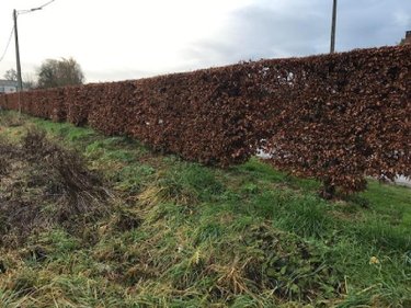 Terrain a batir a vendre Boubers-sur-Canche 62270 Pas-de-Calais 1200 m2  32000 euros
