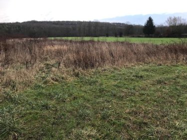 Terrain a batir a vendre Boubers-sur-Canche 62270 Pas-de-Calais 1200 m2  32000 euros