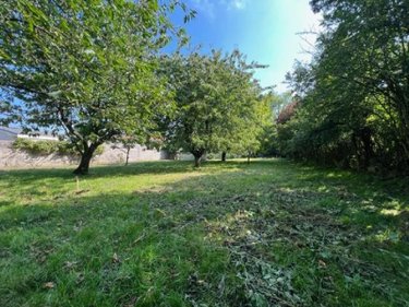 Maison a vendre Marconne 62140 Pas-de-Calais 104 m2 6 pièces 157300 euros
