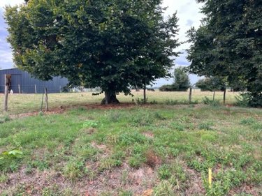 Terrain a batir a vendre Fressin 62140 Pas-de-Calais 1152 m2  29000 euros