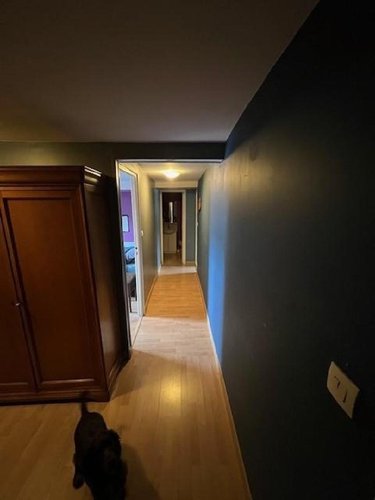 Maison a vendre Fruges 62310 Pas-de-Calais 180 m2 1 pièce 166105 euros