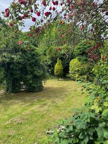 Maison a vendre Hesdin 62140 Pas-de-Calais 251 m2 10 pièces 131474 euros