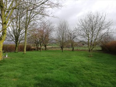 Terrain a batir a vendre Cassel 59670 Nord 914 m2  98900 euros