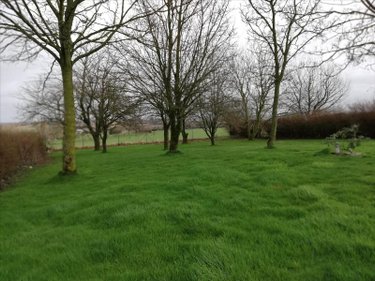 Terrain a batir a vendre Cassel 59670 Nord 914 m2  99900 euros