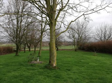 Terrain a batir a vendre Cassel 59670 Nord 914 m2  98900 euros