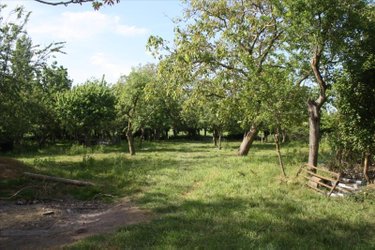Maison a vendre Bailleul 59270 Nord 100 m2 4 pièces 296500 euros