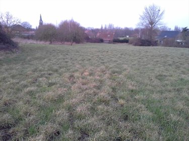 Maison a vendre Godewaersvelde 59270 Nord 230 m2 8 pièces 337750 euros