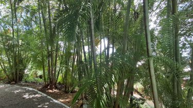 Maison a vendre Les Abymes 97139 Guadeloupe 195 m2 5 pièces 676000 euros