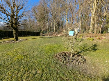 Maison a vendre Auxi-le-Château 62390 Pas-de-Calais 113 m2 6 pièces 265980 euros