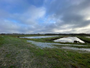 Terrains de loisirs bois etangs a vendre Lingé 36220 Indre 414829 m2  659000 euros