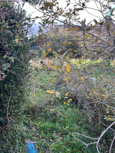 Terrain a batir a vendre Réquista 12170 Aveyron 671 m2  14000 euros