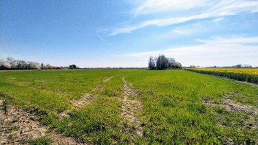 Maison a vendre La Gorgue 59253 Nord 132 m2  299500 euros