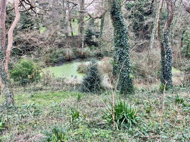 Maison a vendre Ploumilliau 22300 Côtes-d'Armor 61 m2 3 pièces 162390 euros